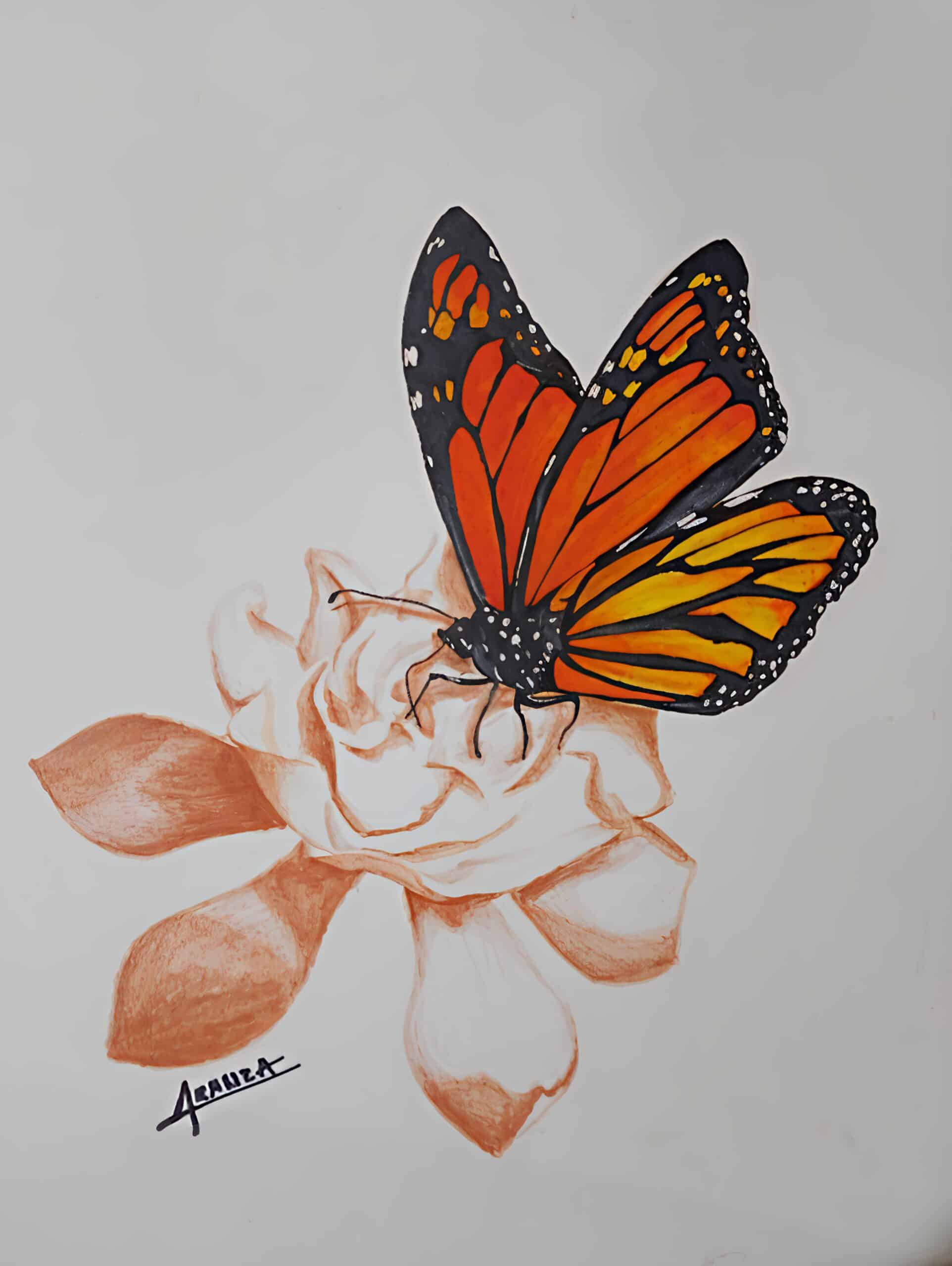 mariposa y la flor
